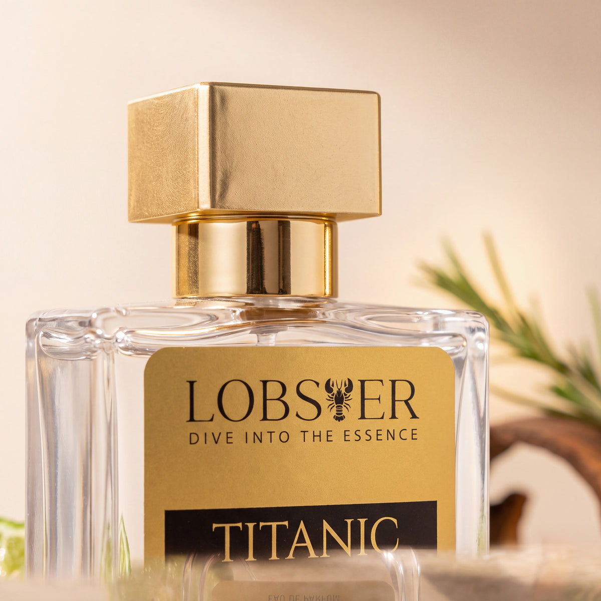 Titanic gold cap and label, close-up